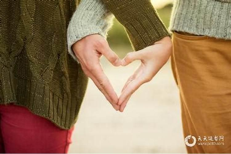 午时男狗和子时女狗腊月十四结婚如何？