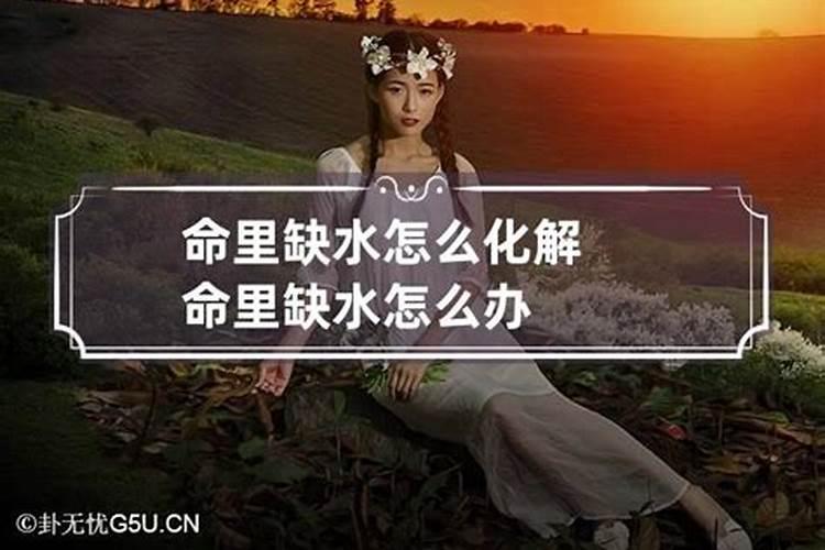 生肖猪2025年运势 属猪2025年运势及运程