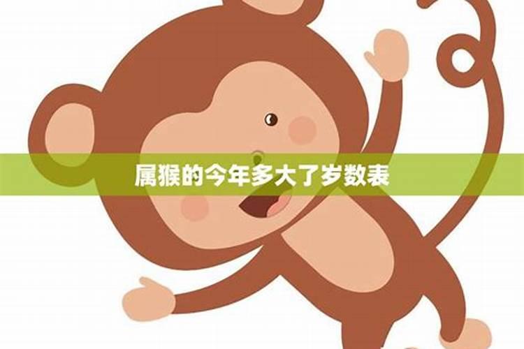 1980年出生属猴2025几岁了
