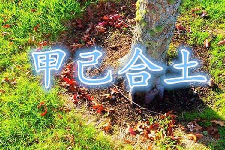 中正之合是什么意思 中正之合的意思