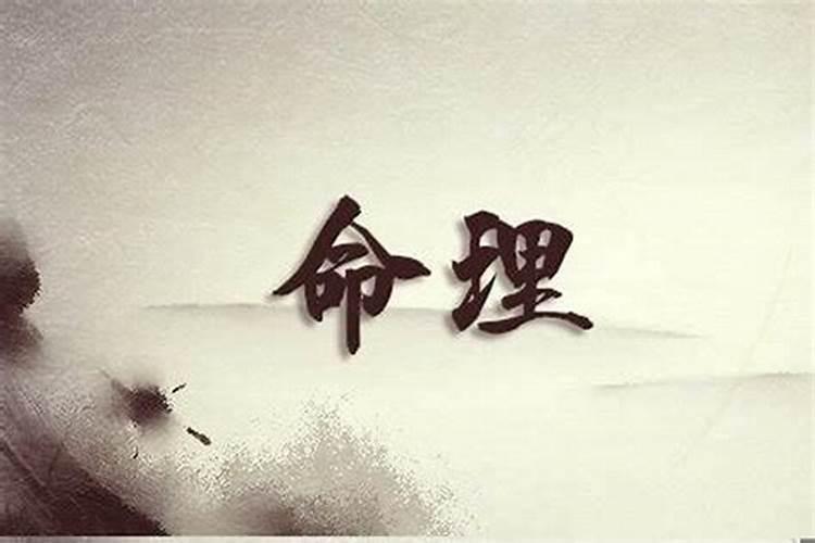 大运走养运的特点