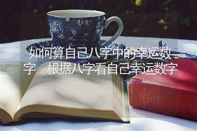 冬至冷的话过年冷还是暖