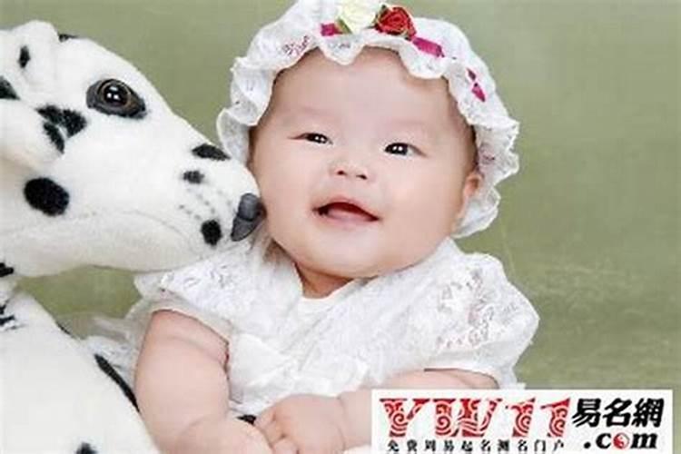 冬至生的宝宝  百度宝宝知道