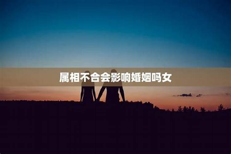 夫妻属相不合会影响财运吗,夫妻不和对运气有影响吗