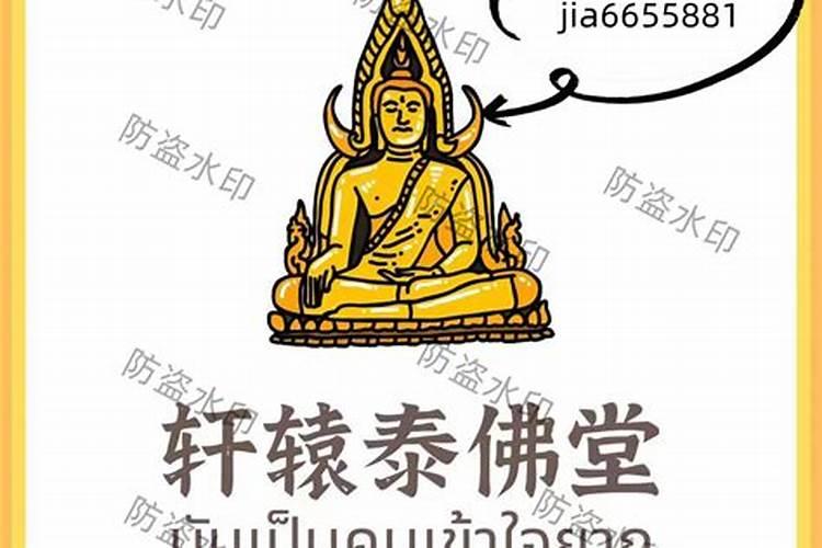 杀业太重所以有病