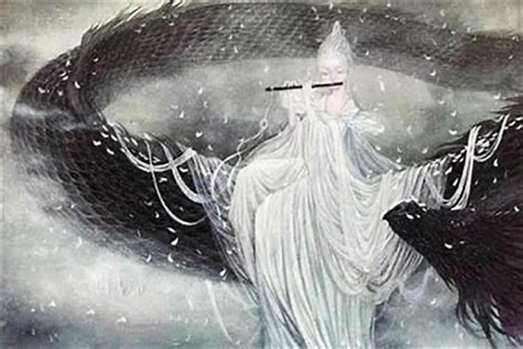 带仙缘的人梦见兔子