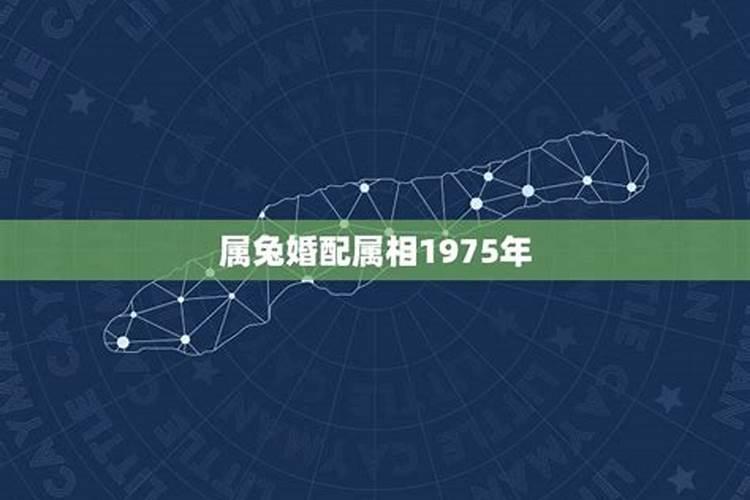 男1975年9月8日出生女1975年10月3日出生合婚