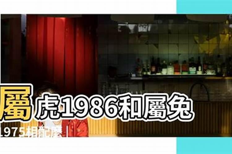 女是75年的兔,男是80年的猴能配婚吗？
