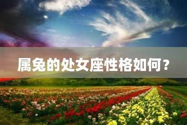 属猪的今年运势如何
