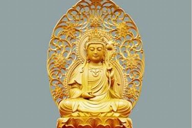属猪的今年运势如何