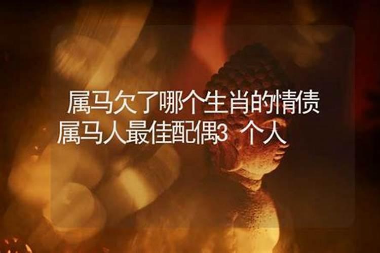 1966年属马和什么属相最配 1966年的人和什么属相最合财