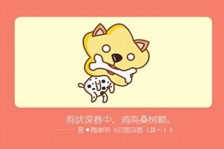 鸡年和什么生肖相克