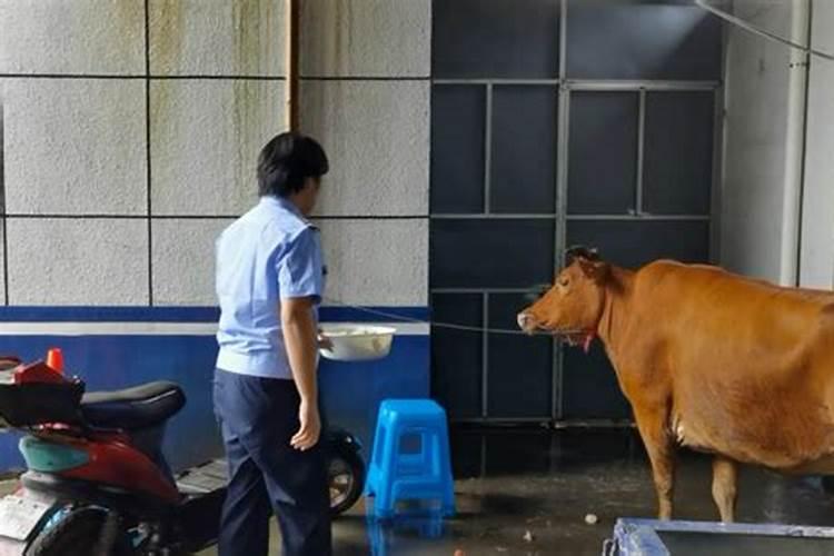 八字合不合怎么看 流年看两人是否有夫妻缘分？