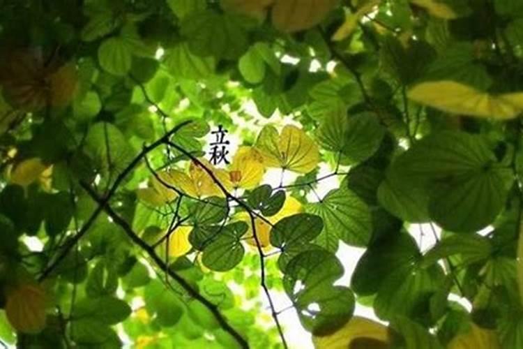 癸未是哪一年或者哪些年份？