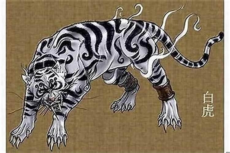 算命看天干还是地支