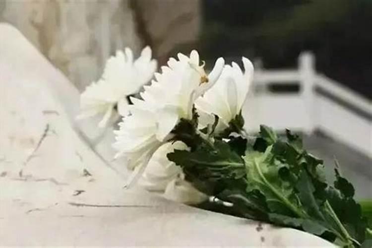 梦见蛇钻入身体是什么意思 梦见蛇钻入身体的相关解释