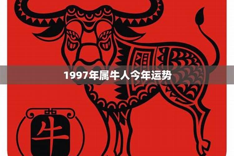 八字过硬是什么意思