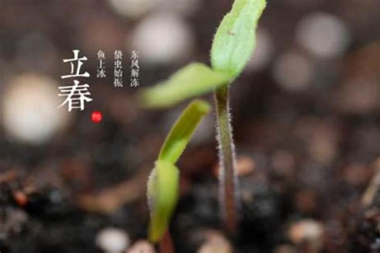 梦见前夫的亲人是什么意思