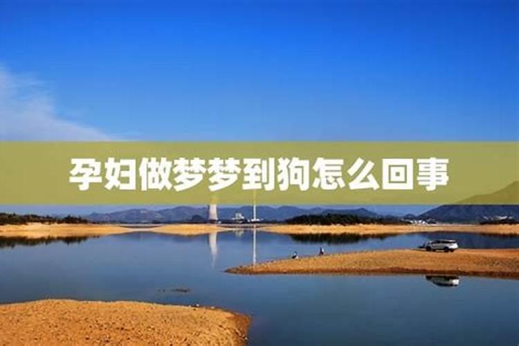 怀孕梦到狗是什么意思 孕妇梦见狗的暗示