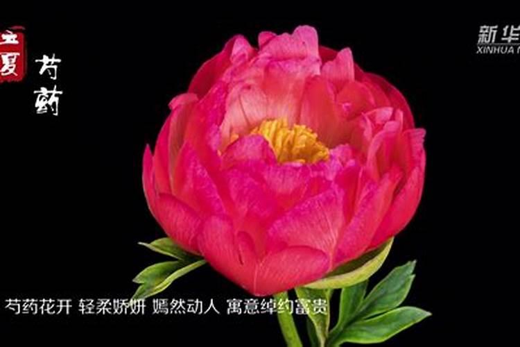 盘点立夏的四大传统习俗 立夏的节气风俗是什么