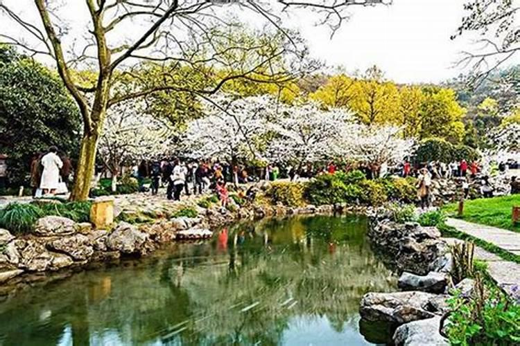 安徽清明节去哪里旅游合适