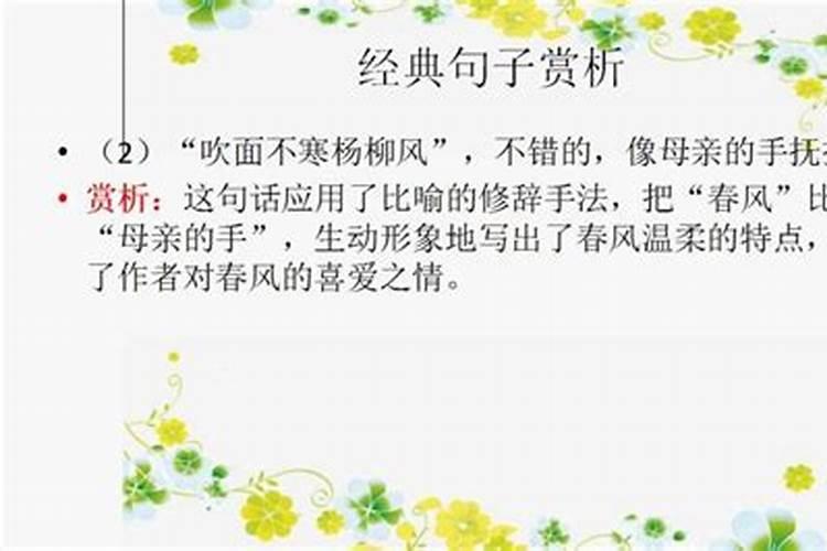 潍坊金泉寺的参观攻略是什么？