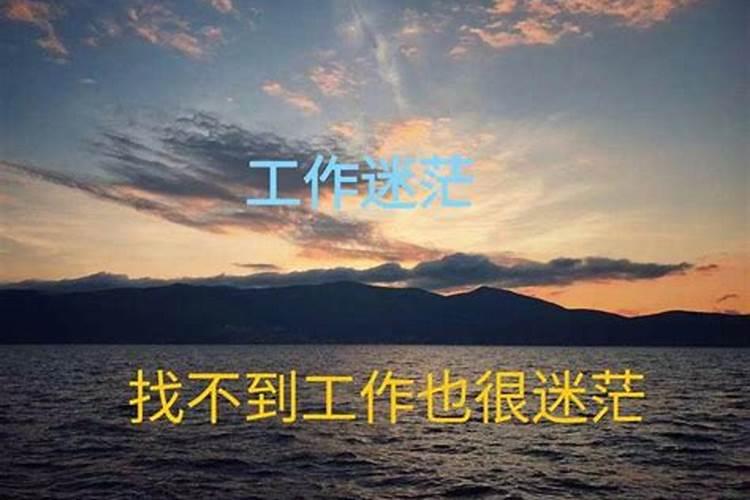 2021上海冬至扫墓规定及预约指南