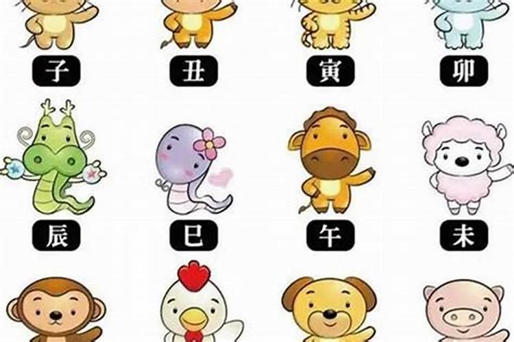 82年的狗2025年运势和财运怎么样