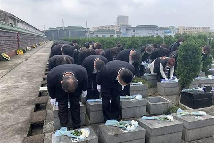 2022嘉兴嘉善网上祭扫操作指南(嘉善陵园网上祭扫)