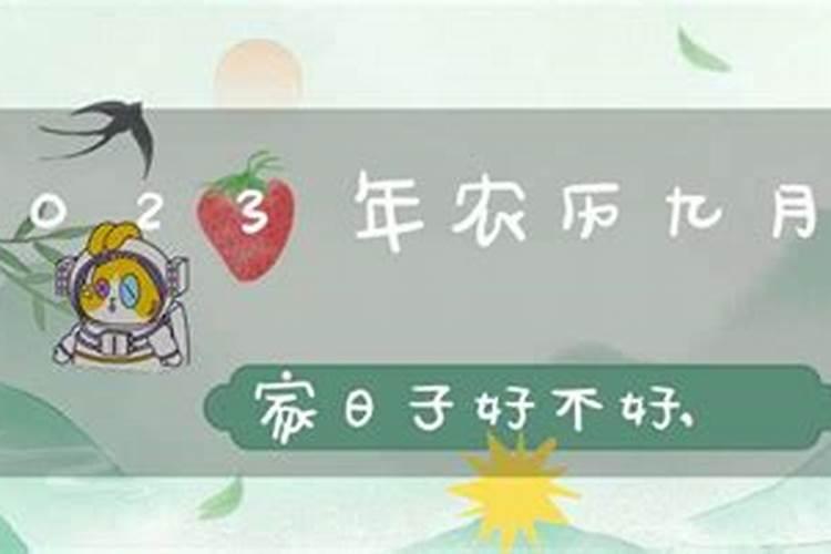 2024年农历八月的黄道吉日