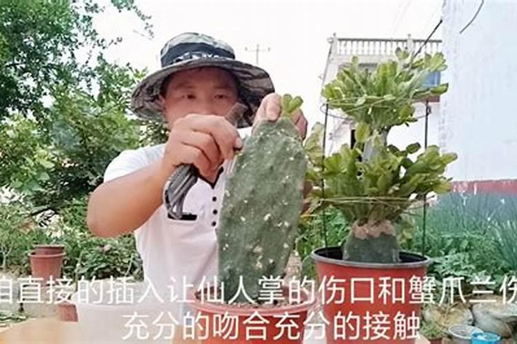 八字中月令是什么意思？