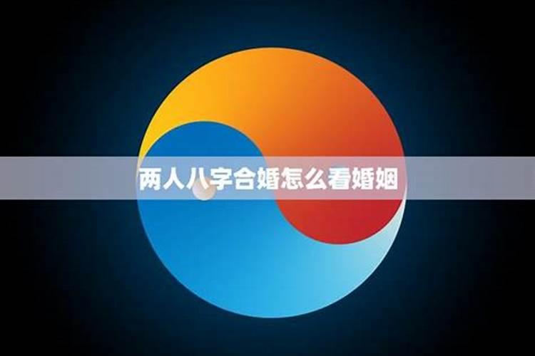 合婚看八字还是属相看八字