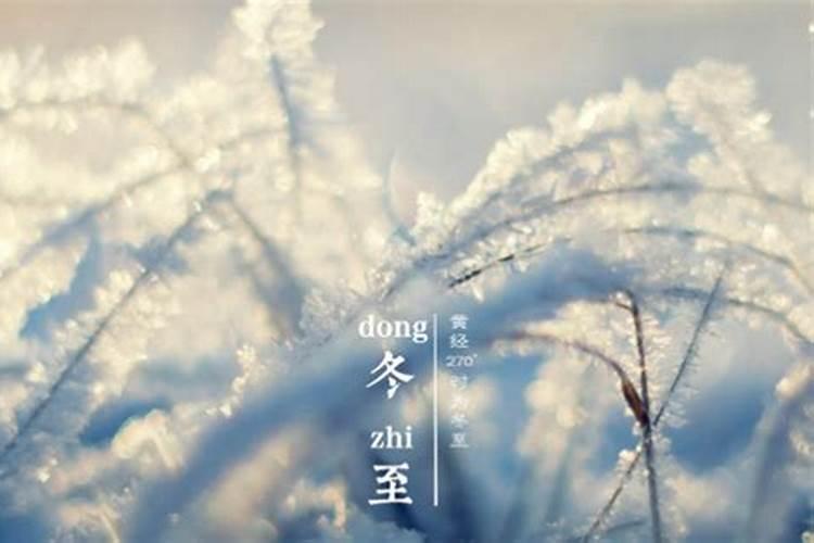 属虎的和属牛的婚姻合适吗