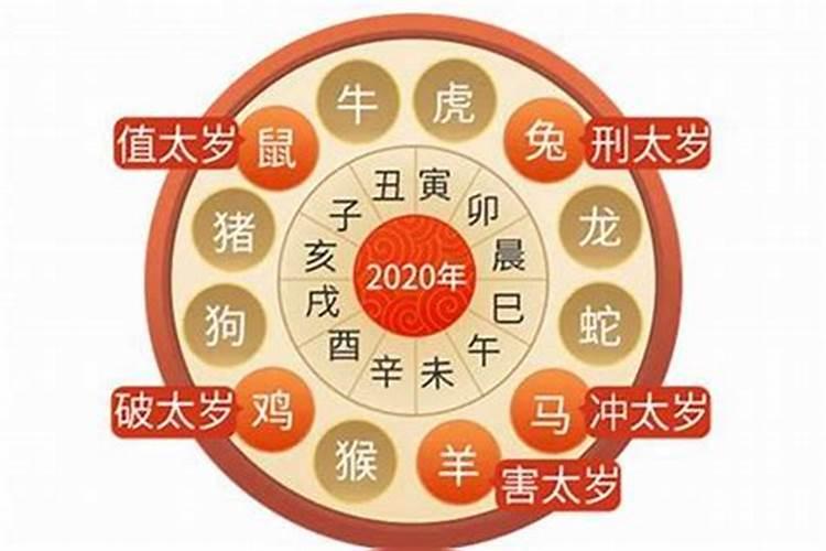 1980年2025年属猴的运势详解