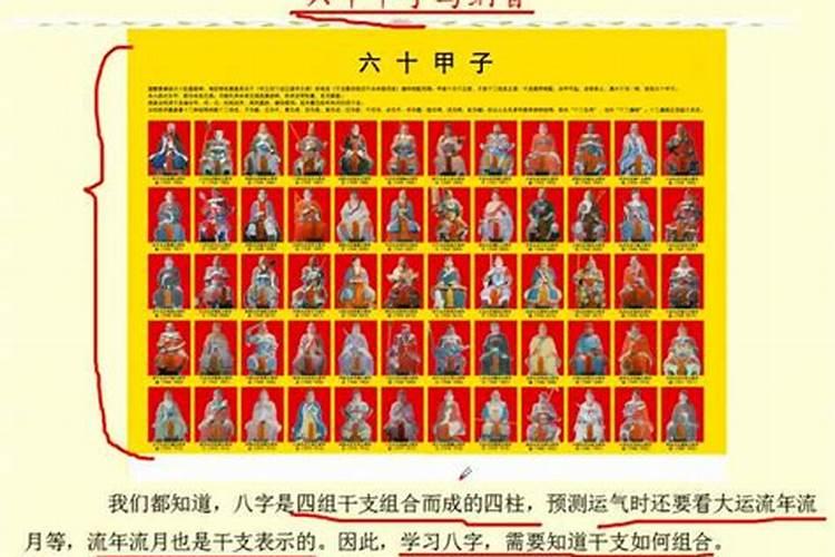 1979年属羊人在九紫离火运势如何
