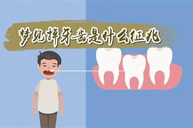 属龙2025运势及运程详解 属龙人2025年每月运势