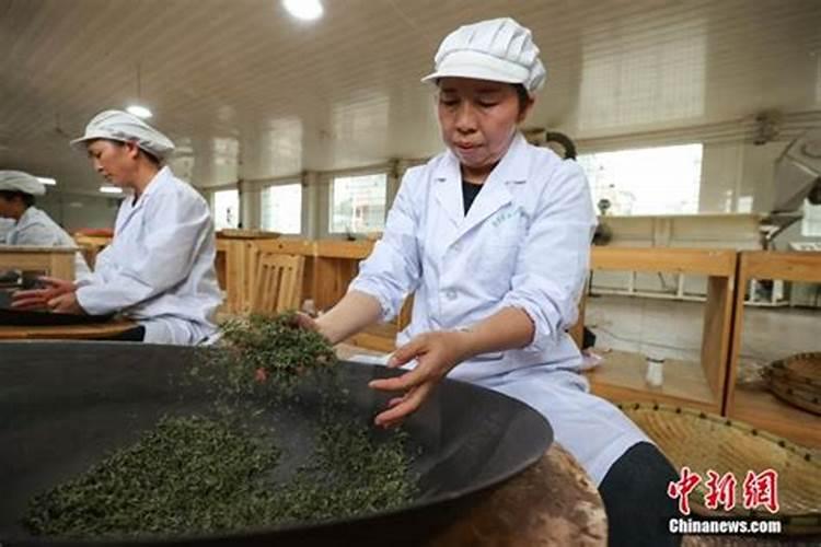 2025年属狗的犯太岁吗