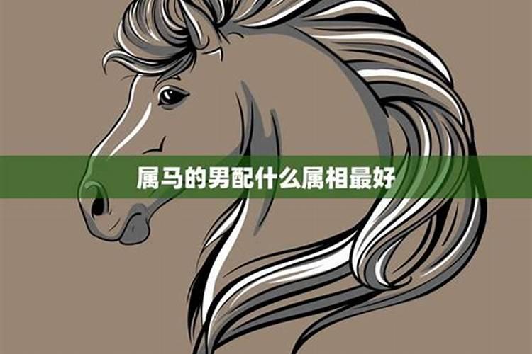 属马的男生和什么属相最配