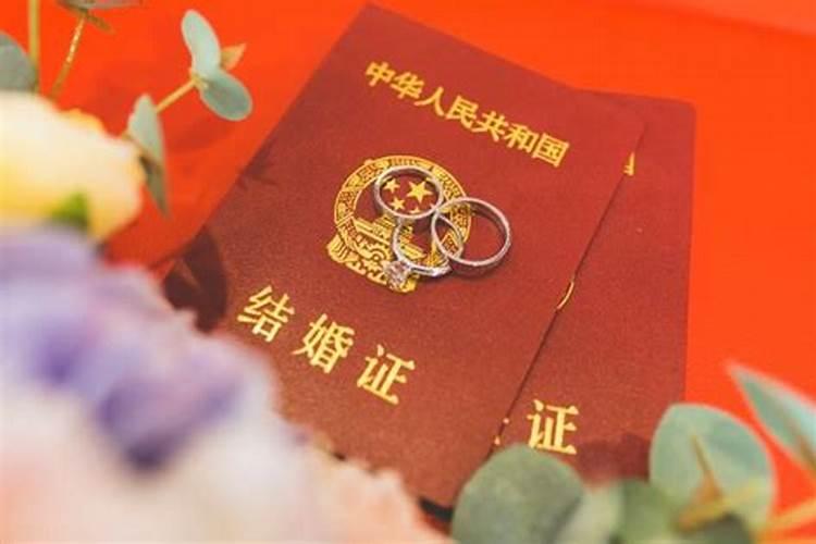 属龙人木命干什么能发财