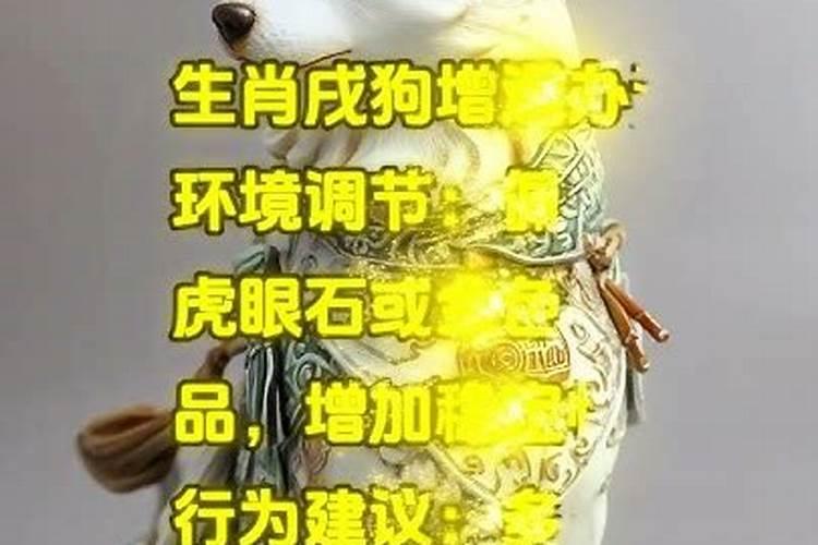 太岁福袋是整个烧掉吗