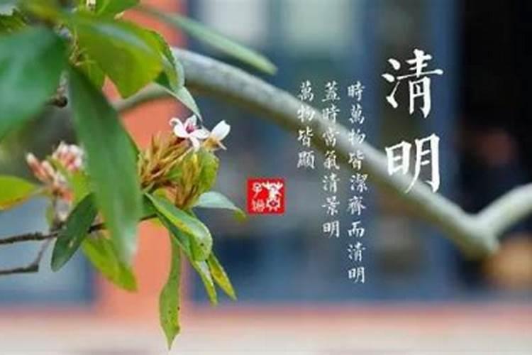 清明节烧纸什么时候烧最好