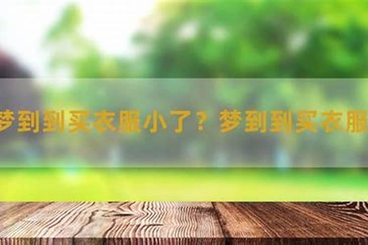 1978年农历8月属马人2025年运势