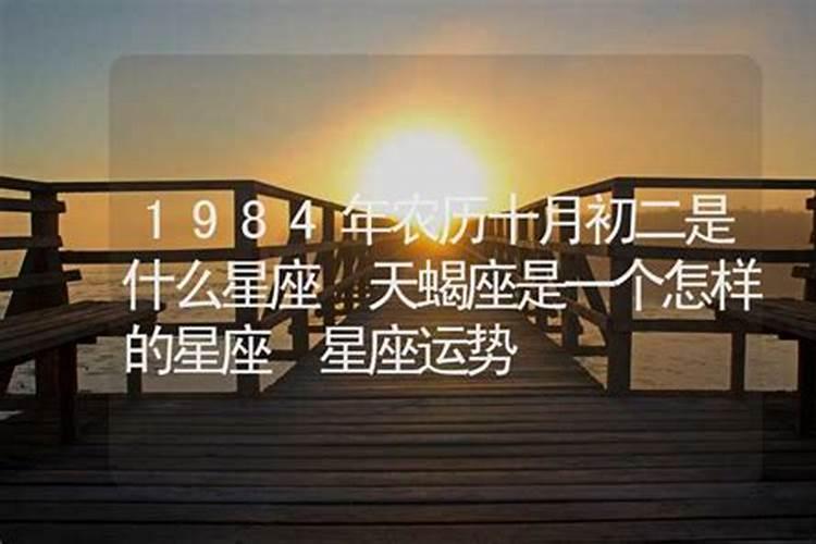 84年闰十月的鼠是什么命 84年闰十月鼠运势解析