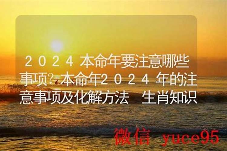 属羊和什么属相最适宜最合财？
