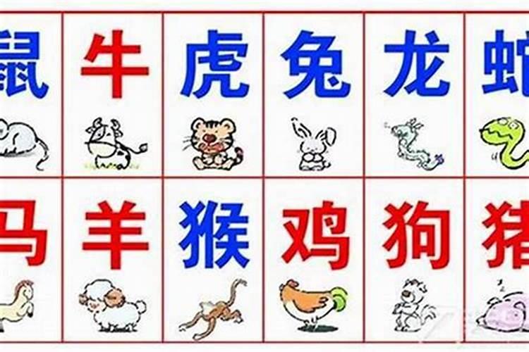 属相相冲但生辰八字很合,合婚生肖重要还是八字重