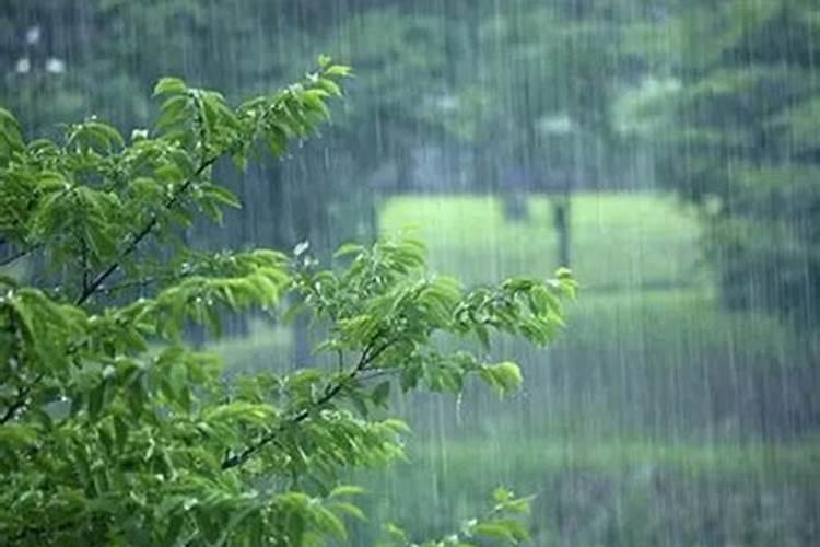 怀孕梦见下大雨的预兆