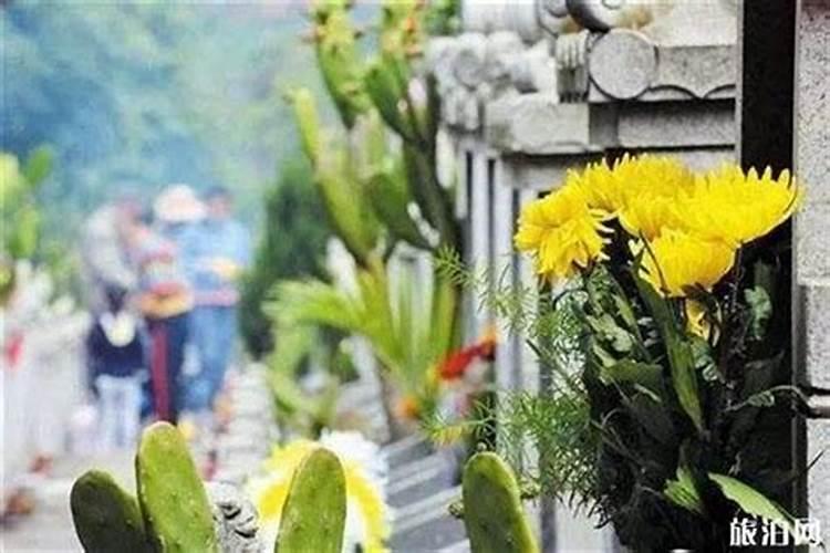 一个人的旅行,去哪里好？浙江省出发