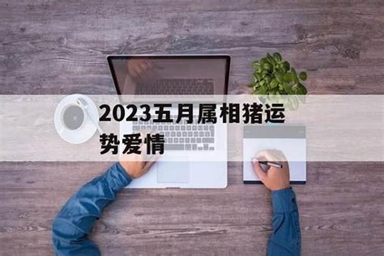 属猪的五月份运势