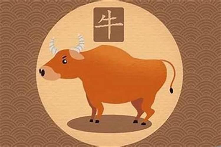 虎年属牛的运势怎么样