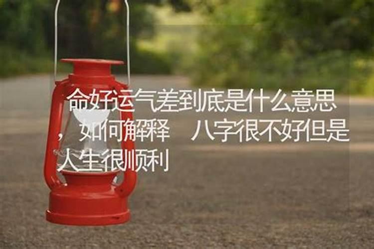 属龙与属鸡的非常有缘吗为什么是上婚